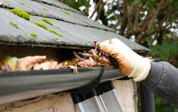 gutter cleaning Whitehall