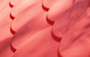 Whitehall plastic roof costs